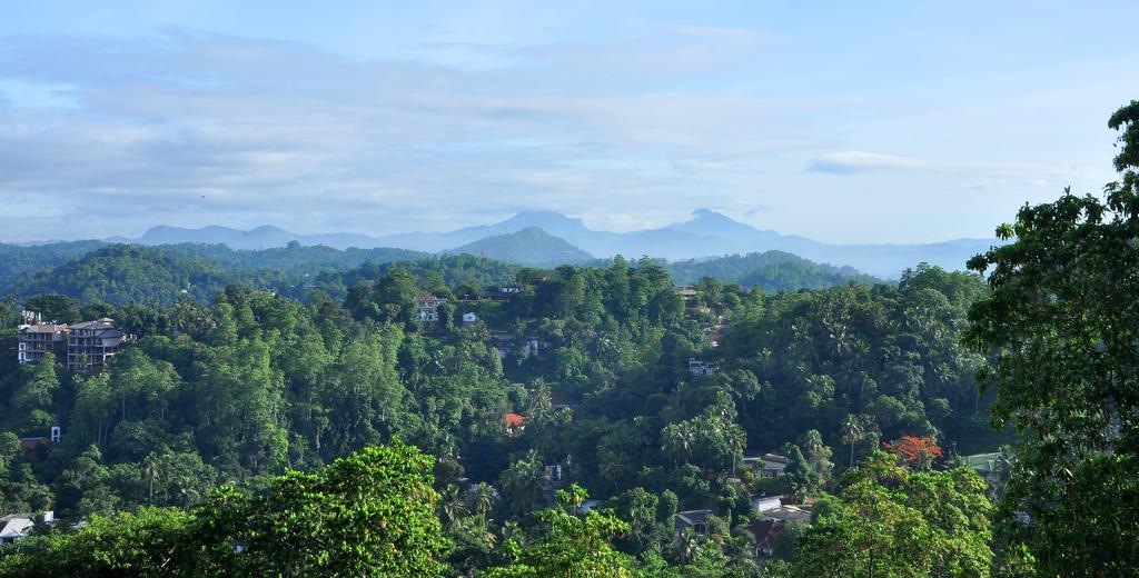 Primrose Inn Kandy Rum bild